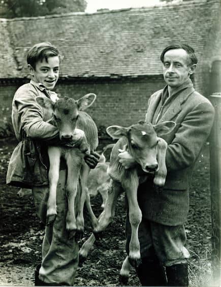 Arthur and Son, Robert with Jersey calves.