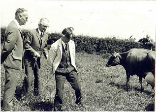 Arthur with visitors in meadow