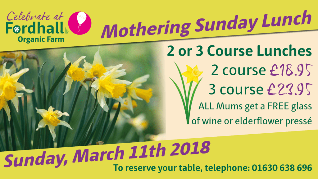 Mothering Sunday at Fordhall