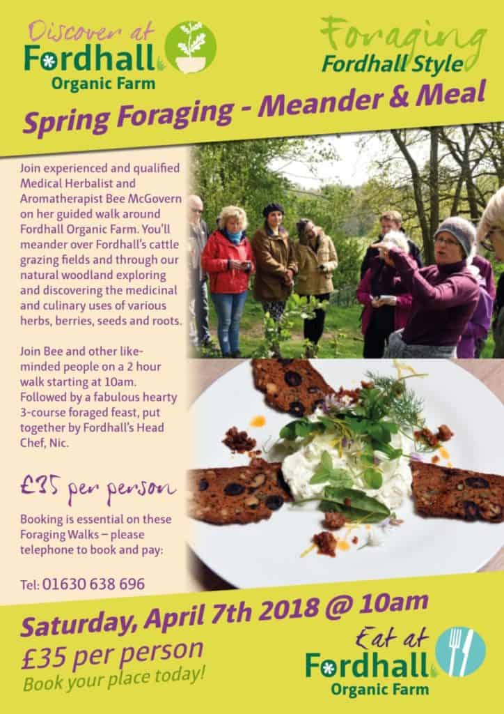 Spring Foraging Meander & Meal A4 Flyer
