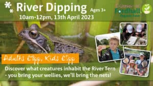 River Dipping @ Fordhall Organic Farm | Tern Hill | England | United Kingdom